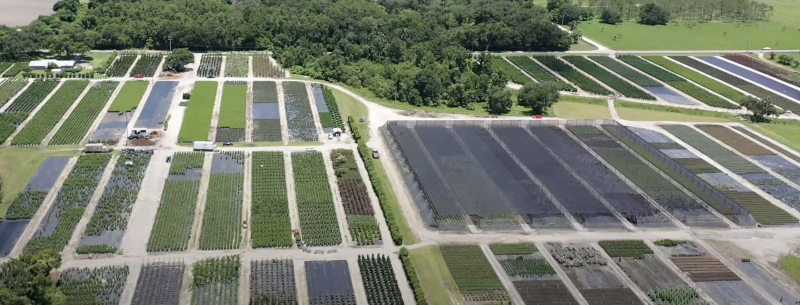 Aerial view of large plant nursery layout