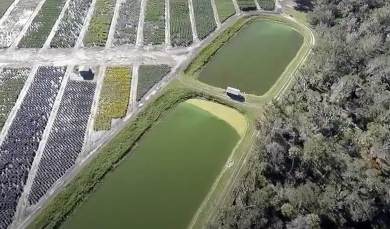 Aerial view of green ponds and farmland fields.