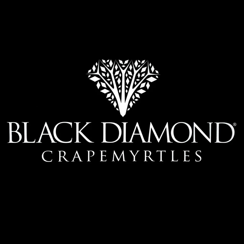 Black Diamond Crapemyrtles logo design