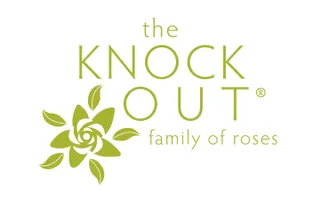 Knock Out roses logo, green text and rose graphic.