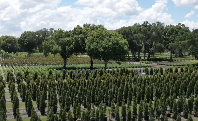 Harrell's Liner Farm